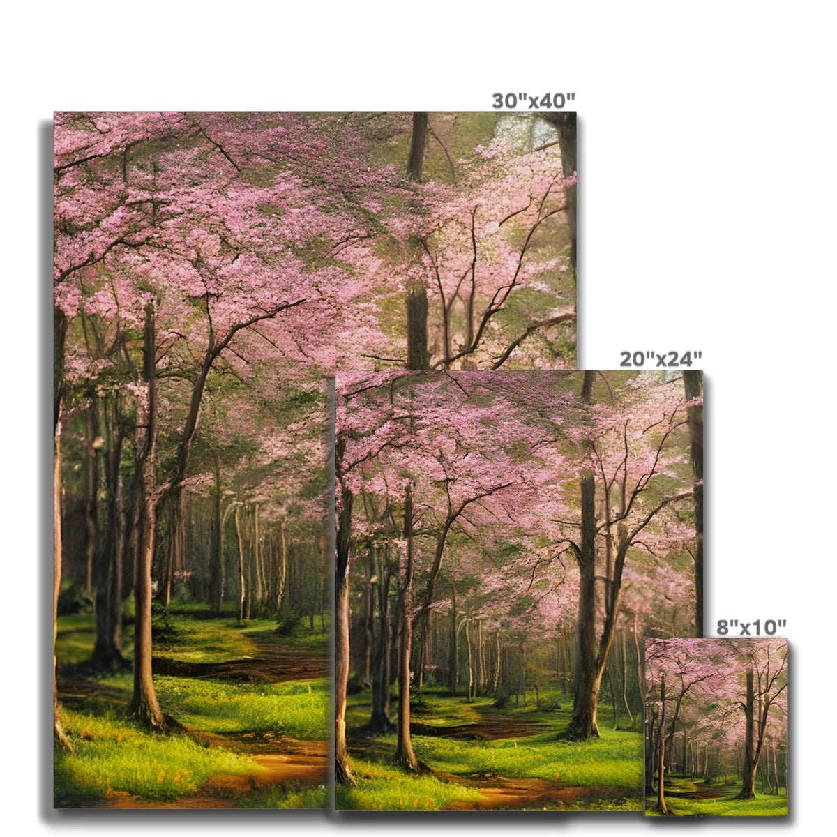 Cherry Blossom in a Forest Canvas Prodigi