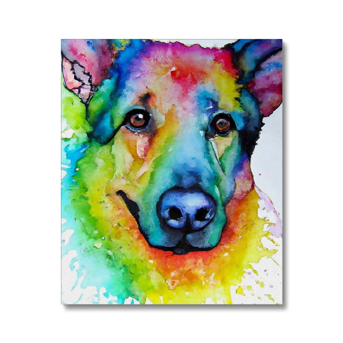 Rainbow Shepherd Dog  Canvas Prodigi