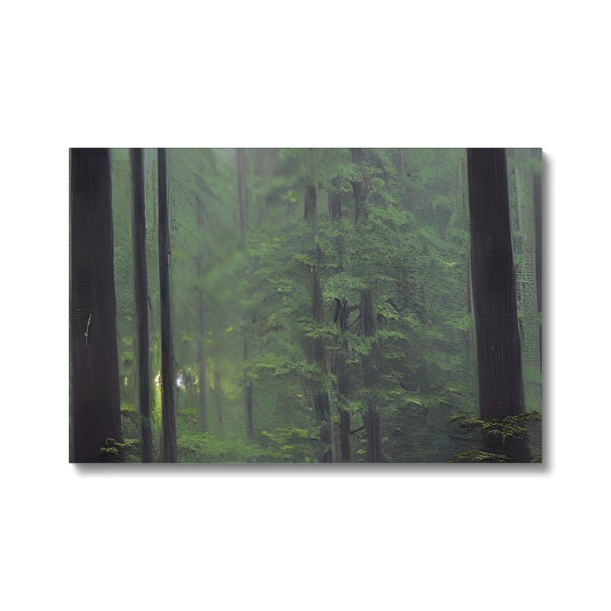 Rainy Forest Eco Canvas Prodigi