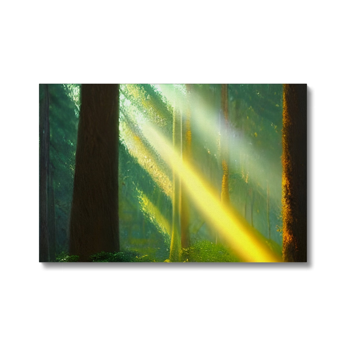 A Ray of Light in the Forest Eco Canvas Prodigi