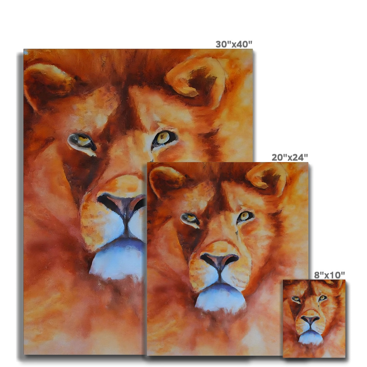 Majestic Lion Canvas Prodigi