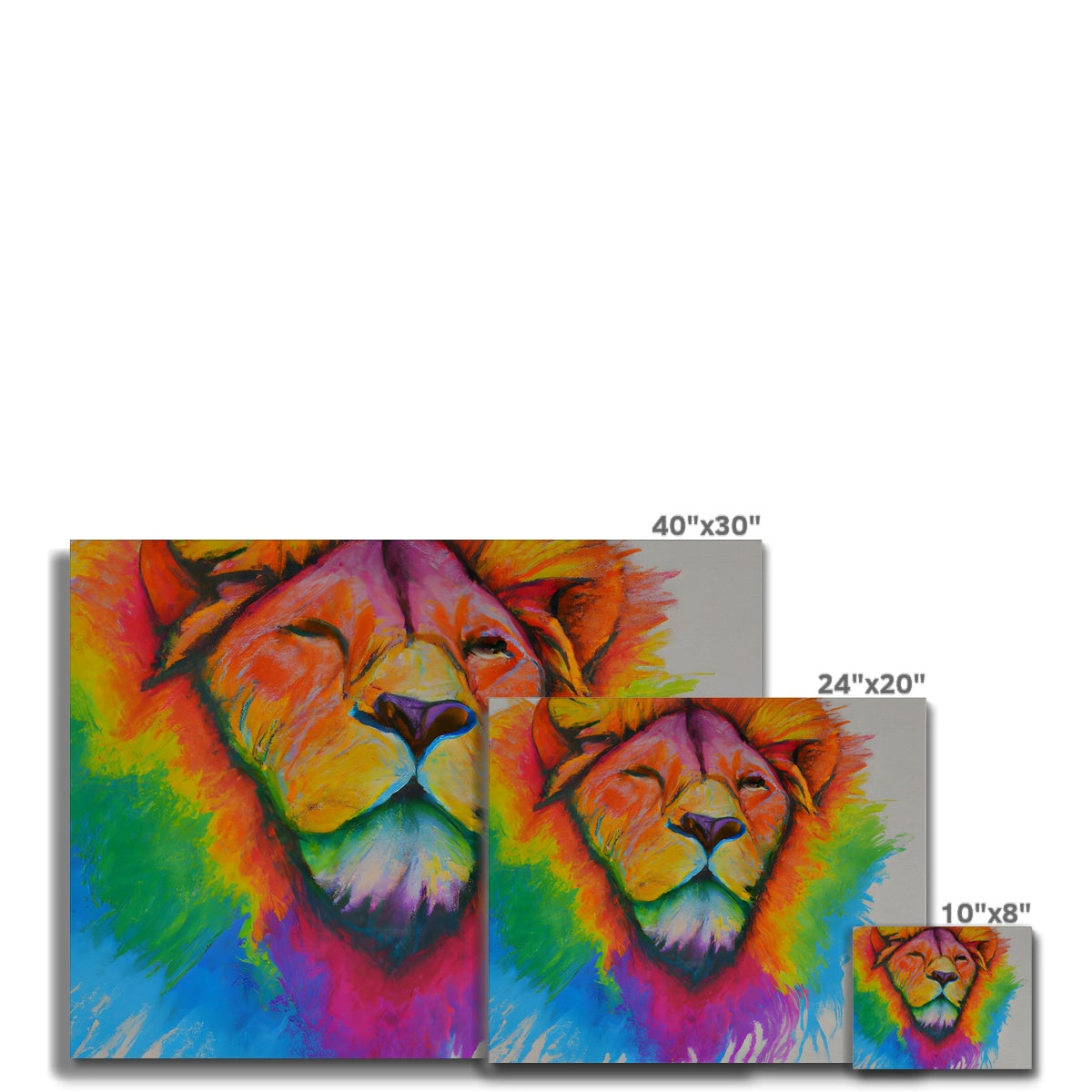 Rainbow Lion Canvas Prodigi