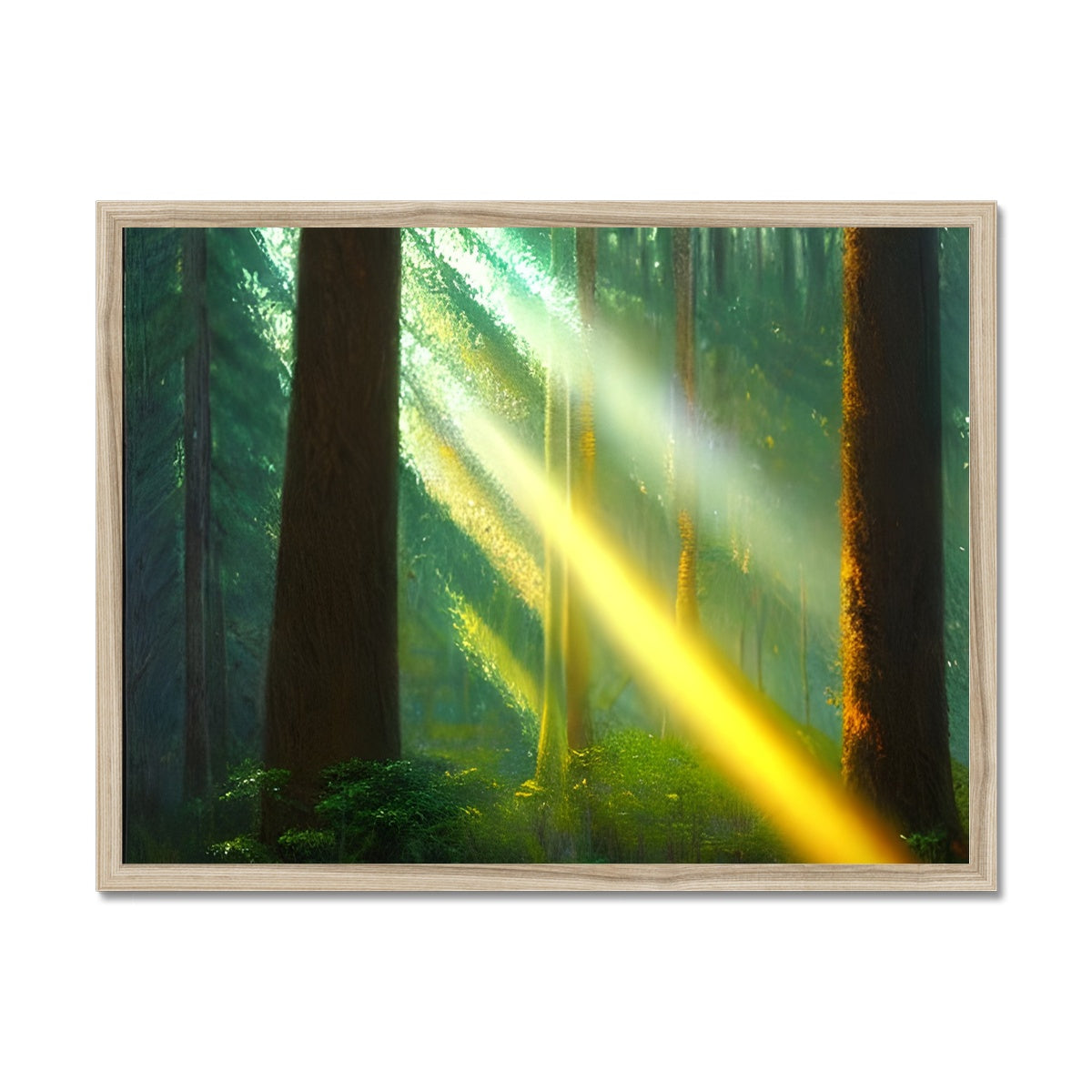 A Ray of Light in the Forest Framed Print Prodigi