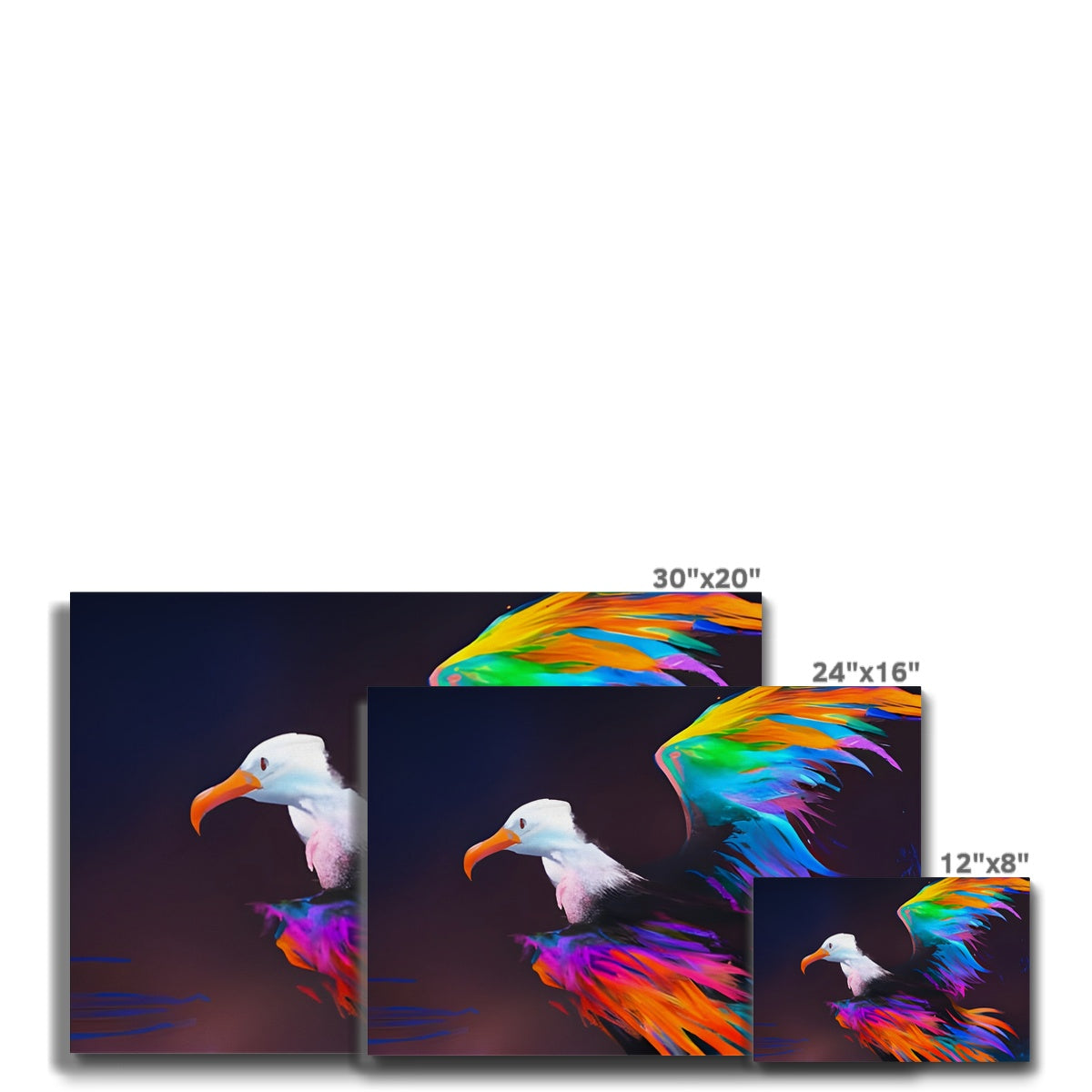 Albatross with spread wings Eco Canvas Prodigi