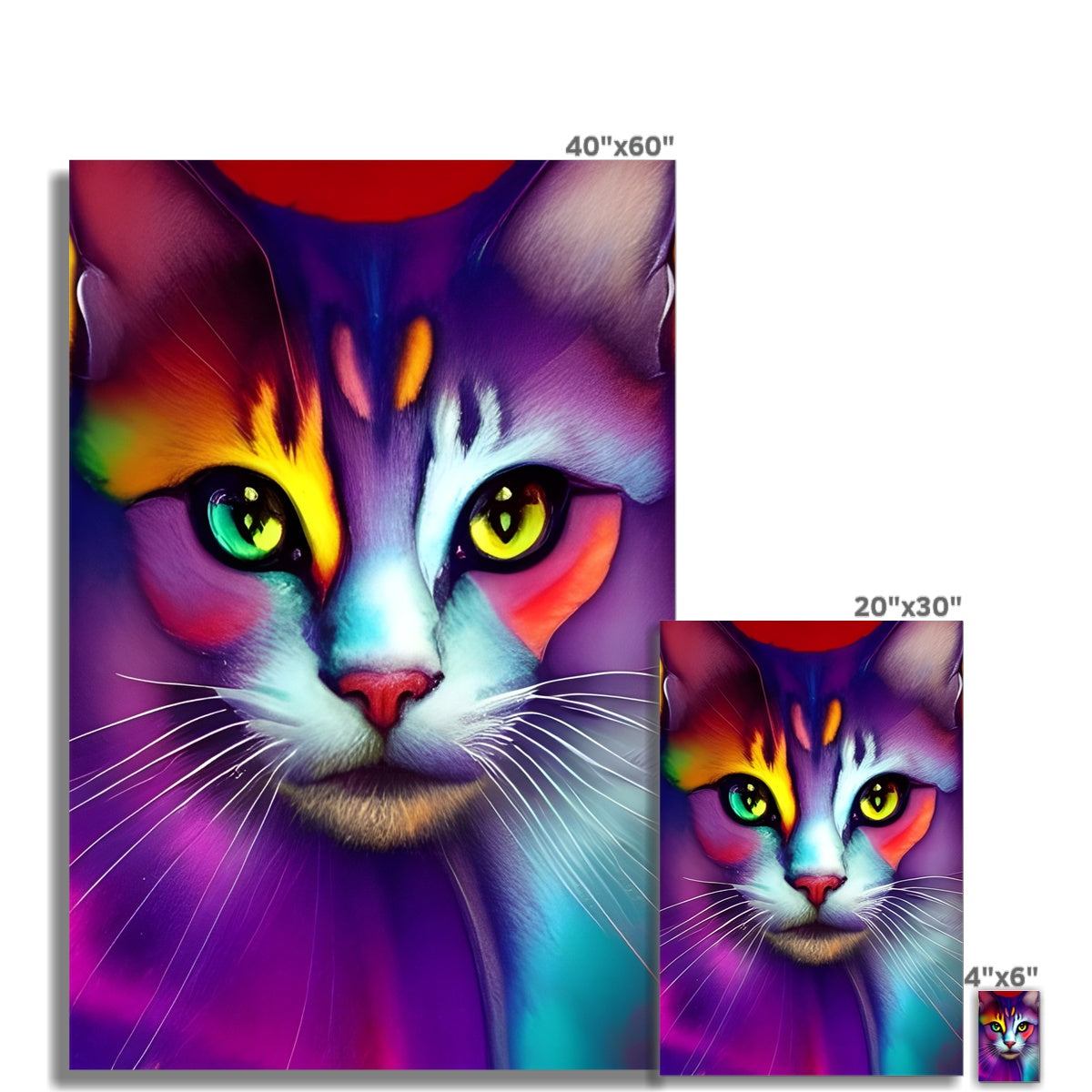 Colorful Cat Fine Art Print Prodigi