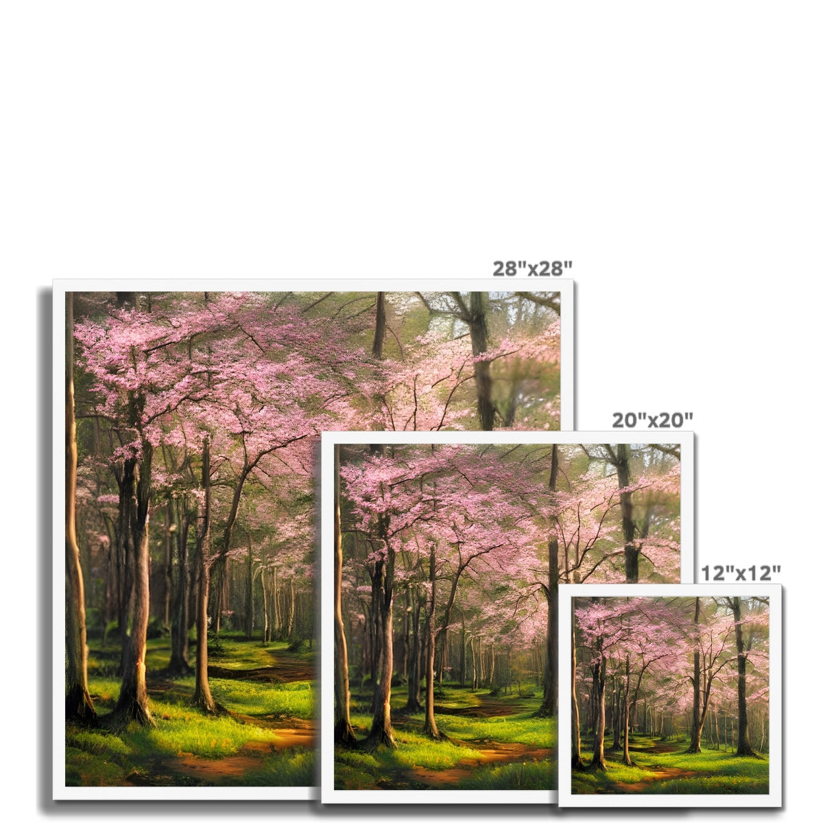 Cherry Blossom in a Forest Framed Print Prodigi