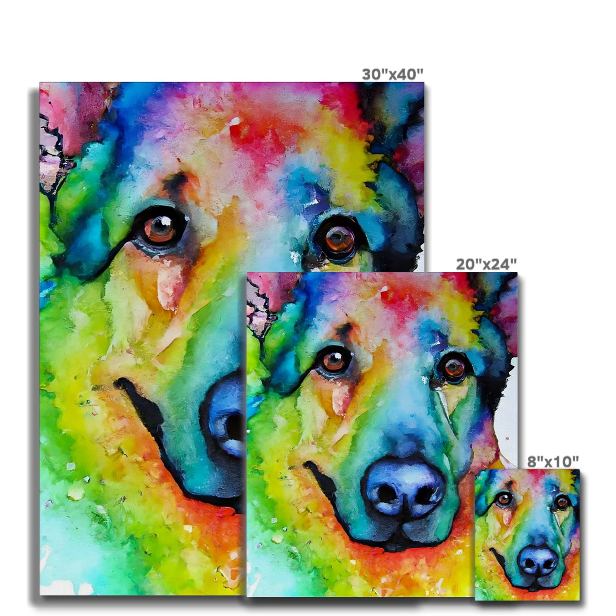 Rainbow Shepherd Dog  Canvas Prodigi