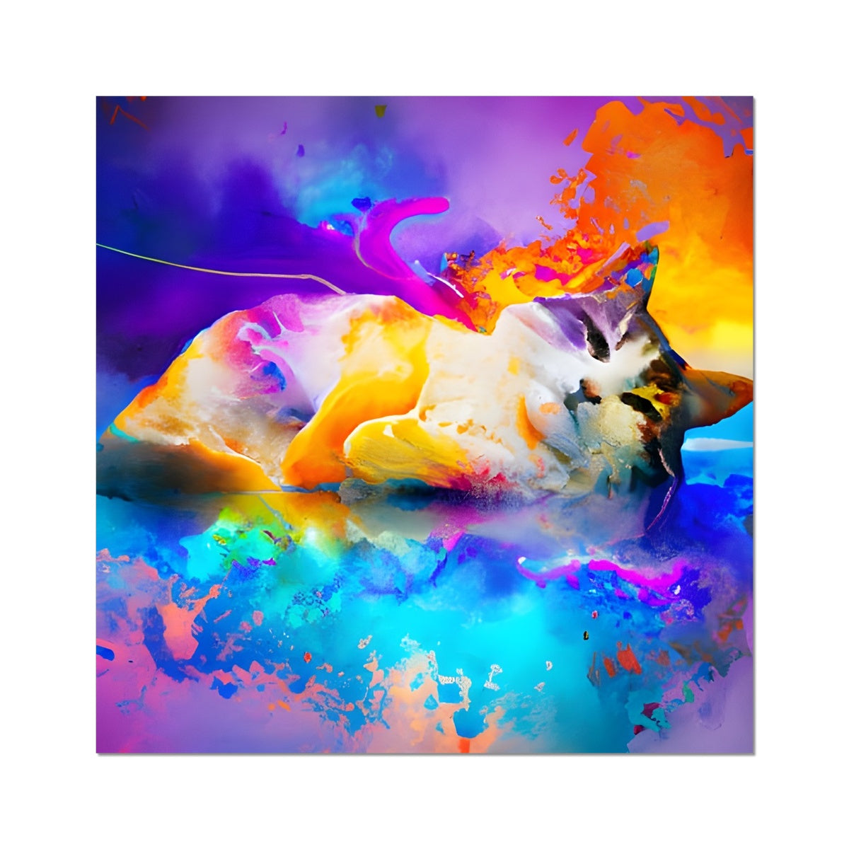 Cat's Dream Fine Art Print Prodigi