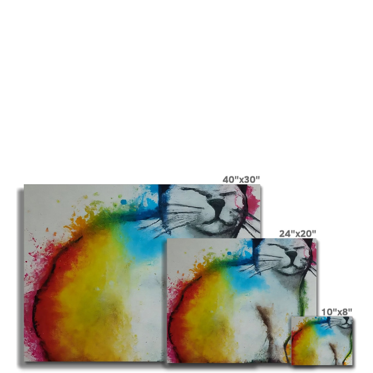 Rainbow Cat Canvas Prodigi