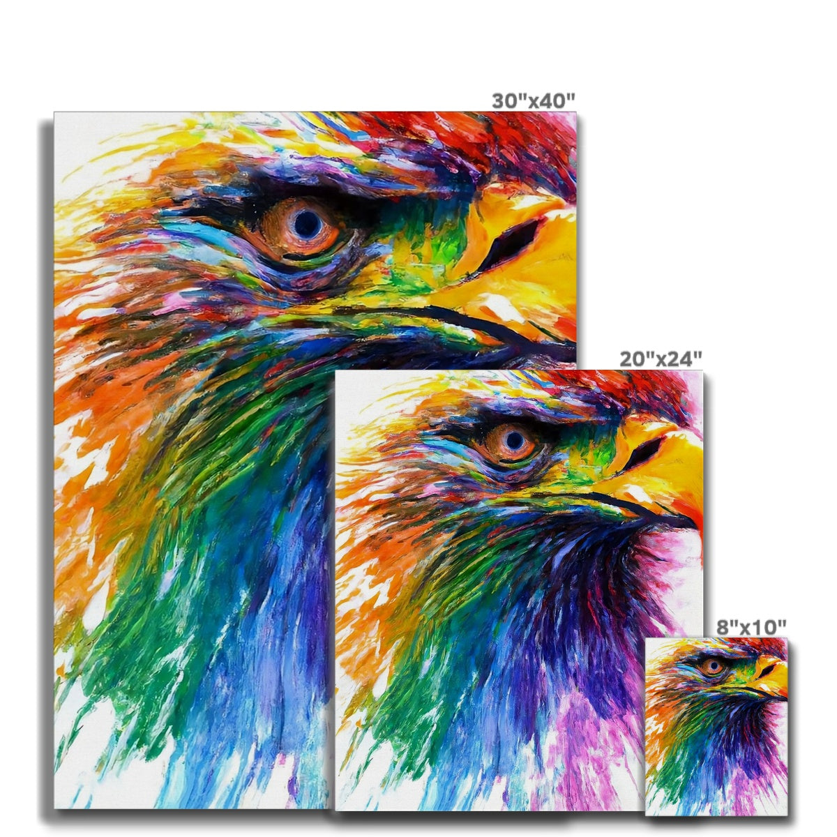 Rainbow Eagle Canvas Prodigi