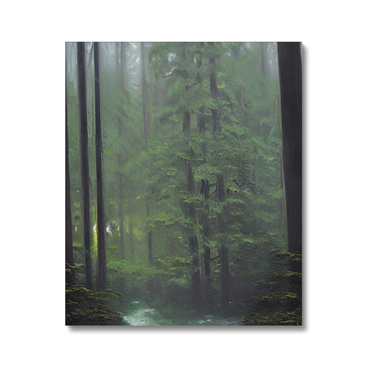 Rainy Forest Canvas Prodigi