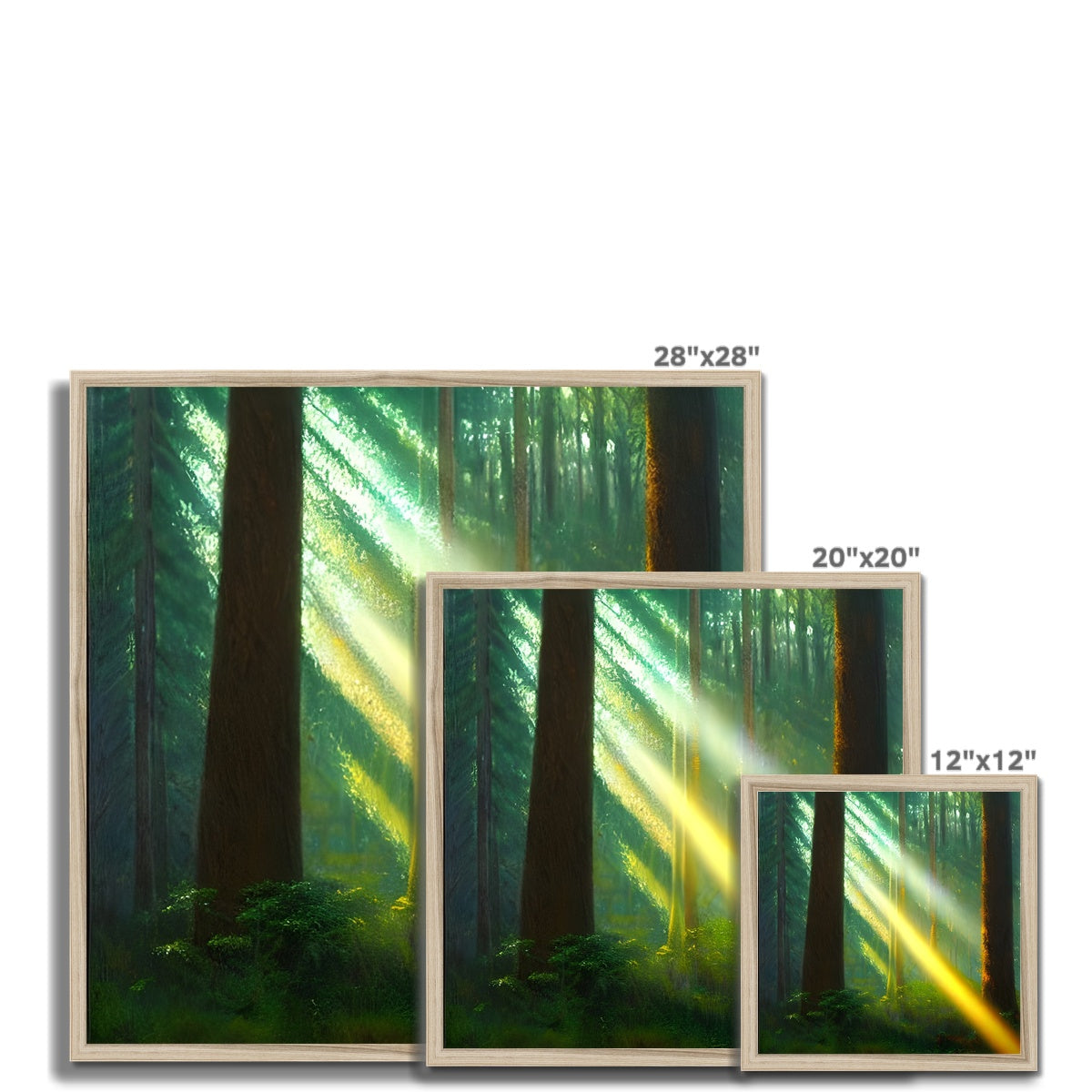 A Ray of Light in the Forest Framed Print Prodigi