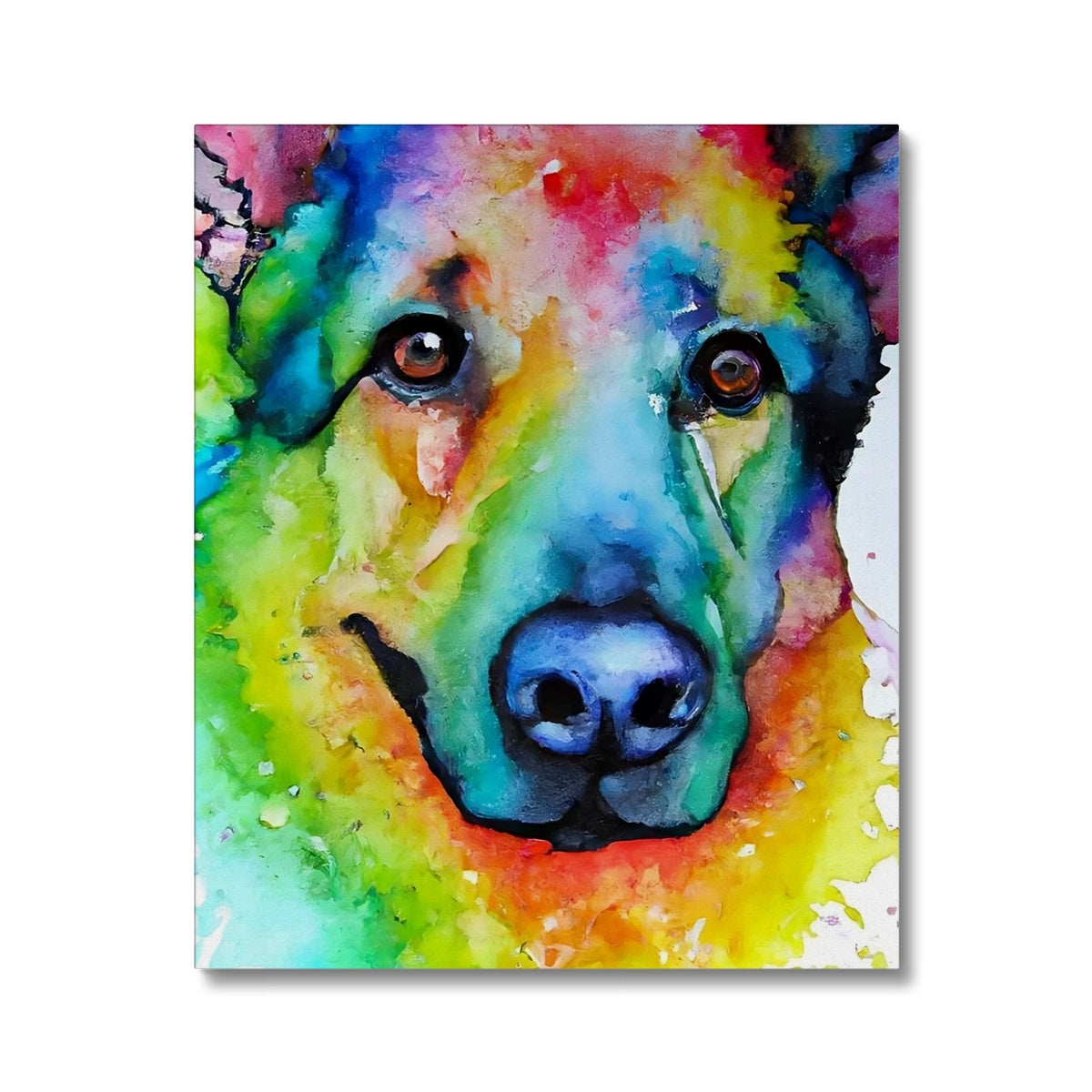 Rainbow Shepherd Dog  Canvas Prodigi