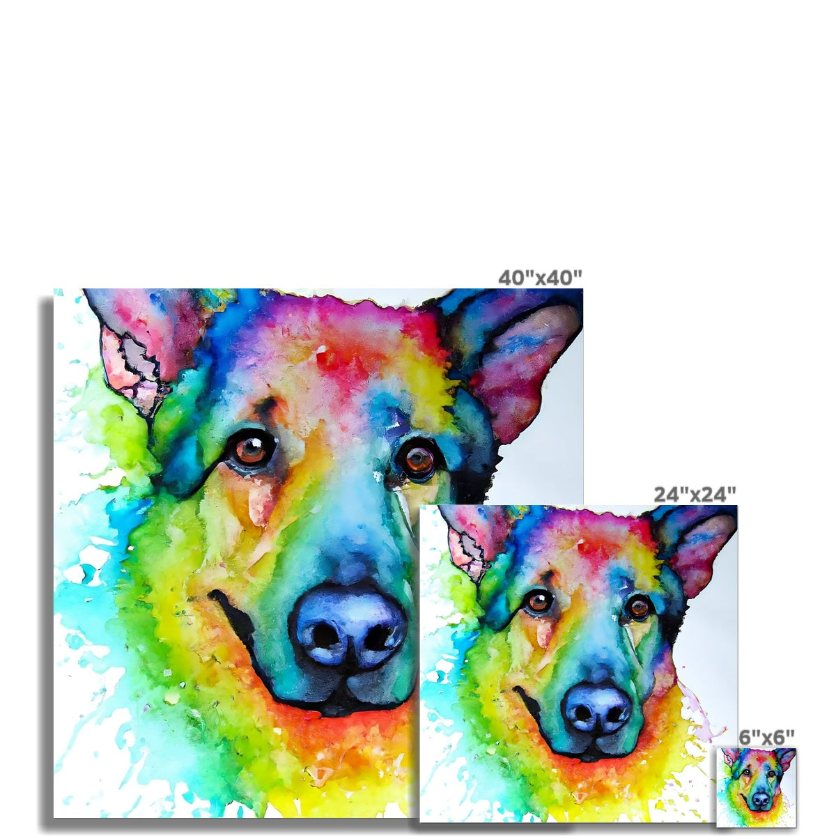 Rainbow Shepherd Dog  Fine Art Print Prodigi