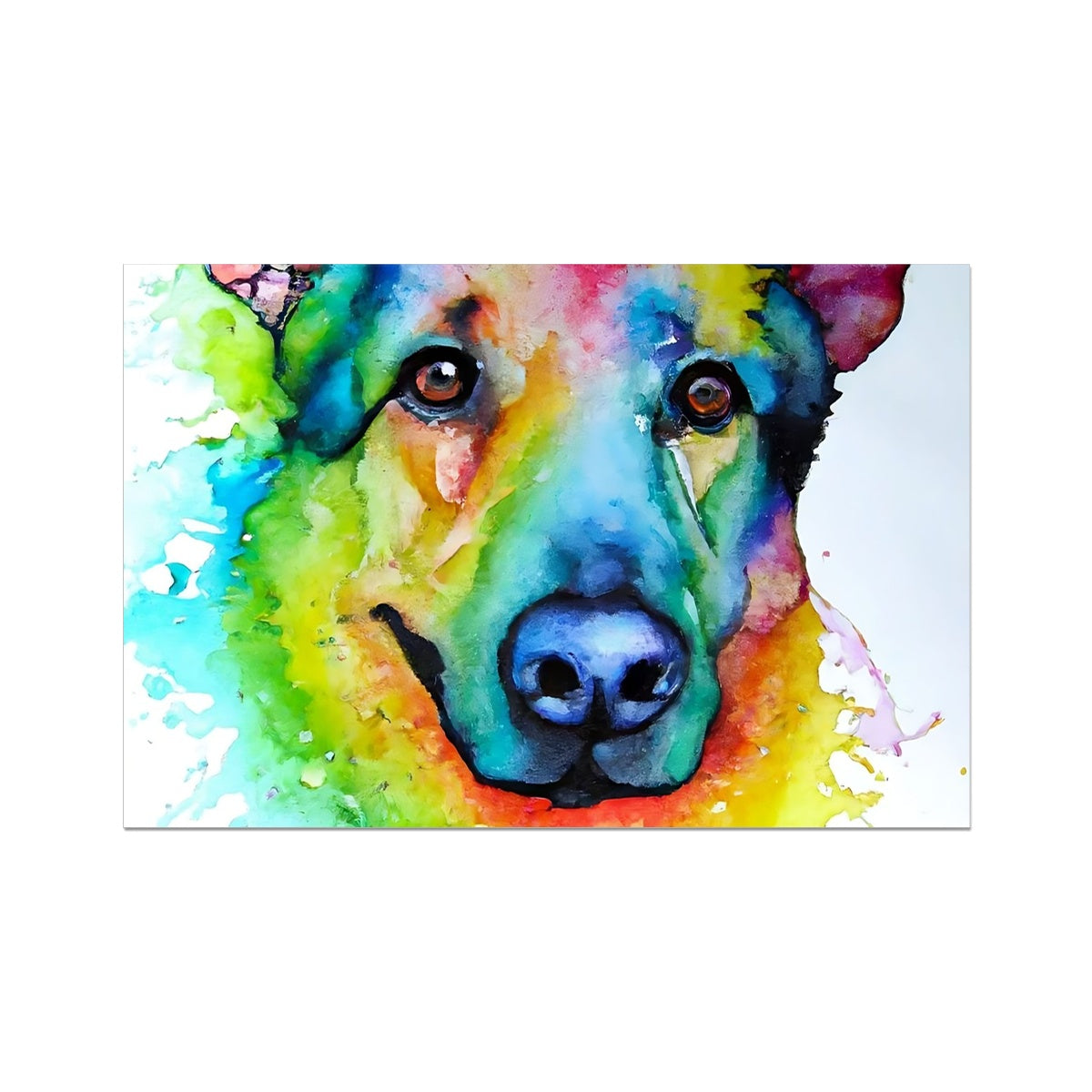 Rainbow Shepherd Dog  Fine Art Print Prodigi