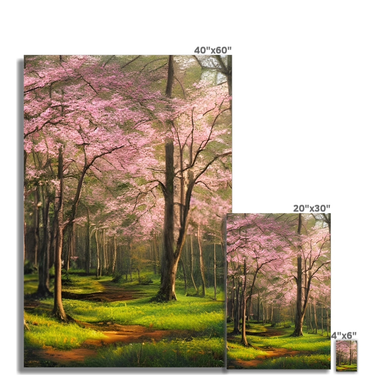 Cherry Blossom in a Forest Fine Art Print Prodigi