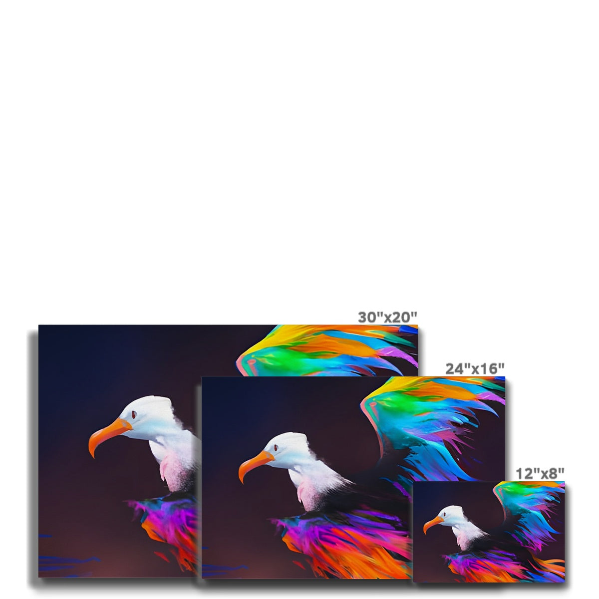 Albatross with spread wings Eco Canvas Prodigi