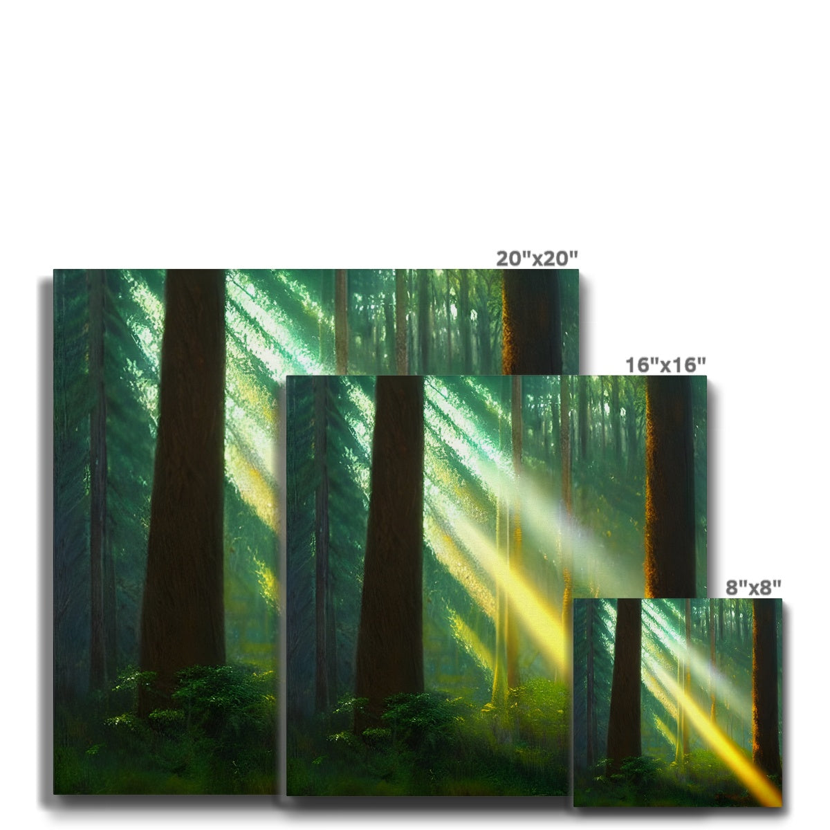 A Ray of Light in the Forest Eco Canvas Prodigi