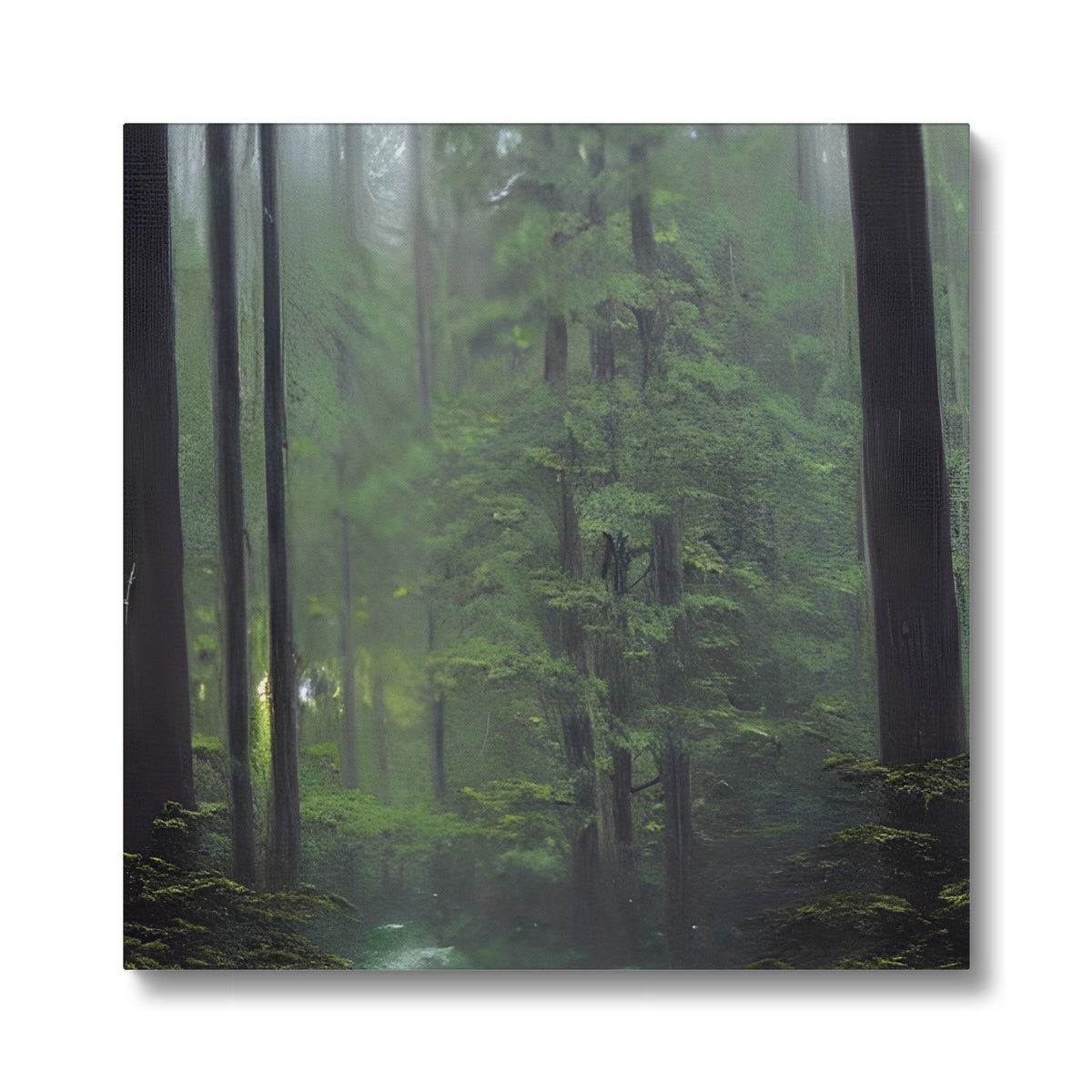 Rainy Forest Eco Canvas Prodigi