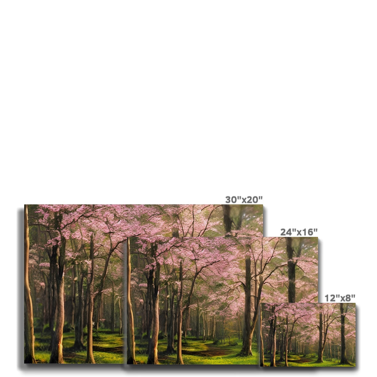 Cherry Blossom in a Forest Eco Canvas Prodigi