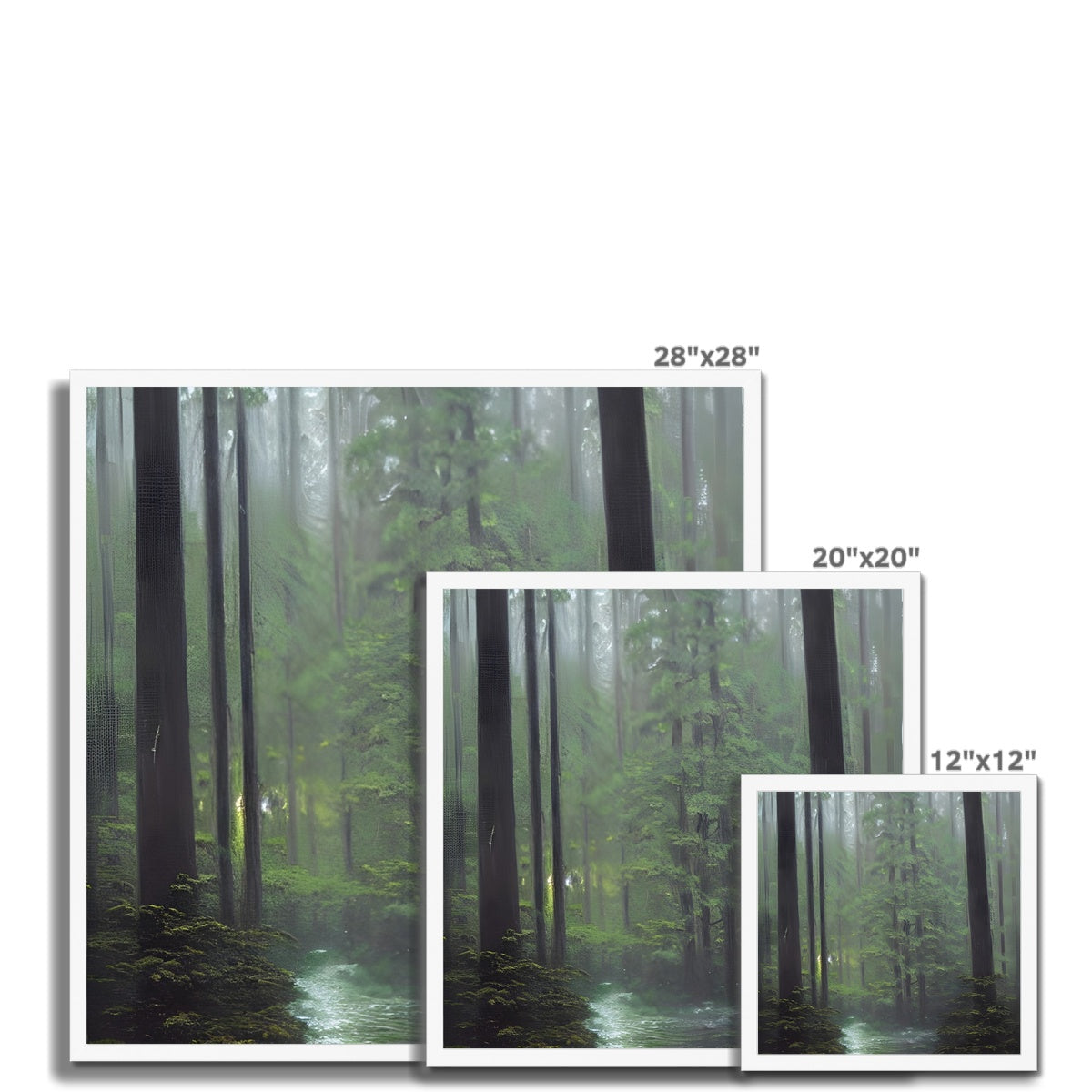 Rainy Forest Framed Print Prodigi