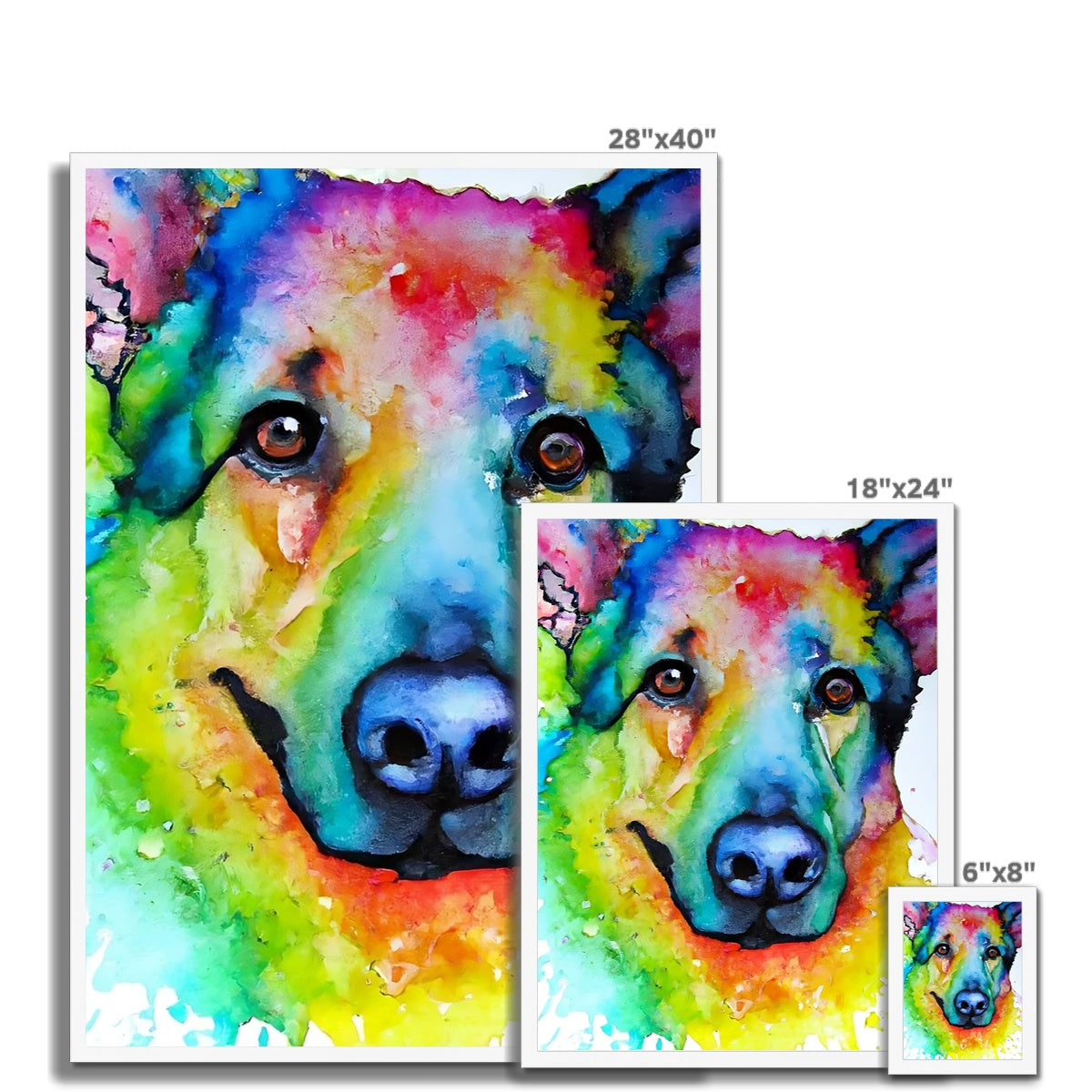 Rainbow Shepherd Dog  Framed Print Prodigi