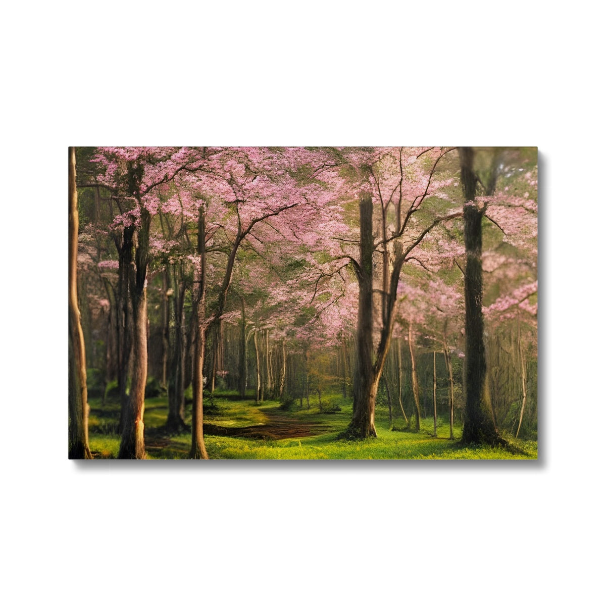 Cherry Blossom in a Forest Eco Canvas Prodigi