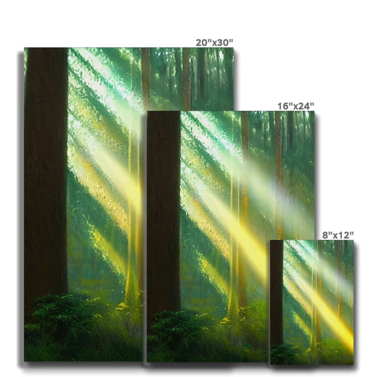 A Ray of Light in the Forest Eco Canvas Prodigi