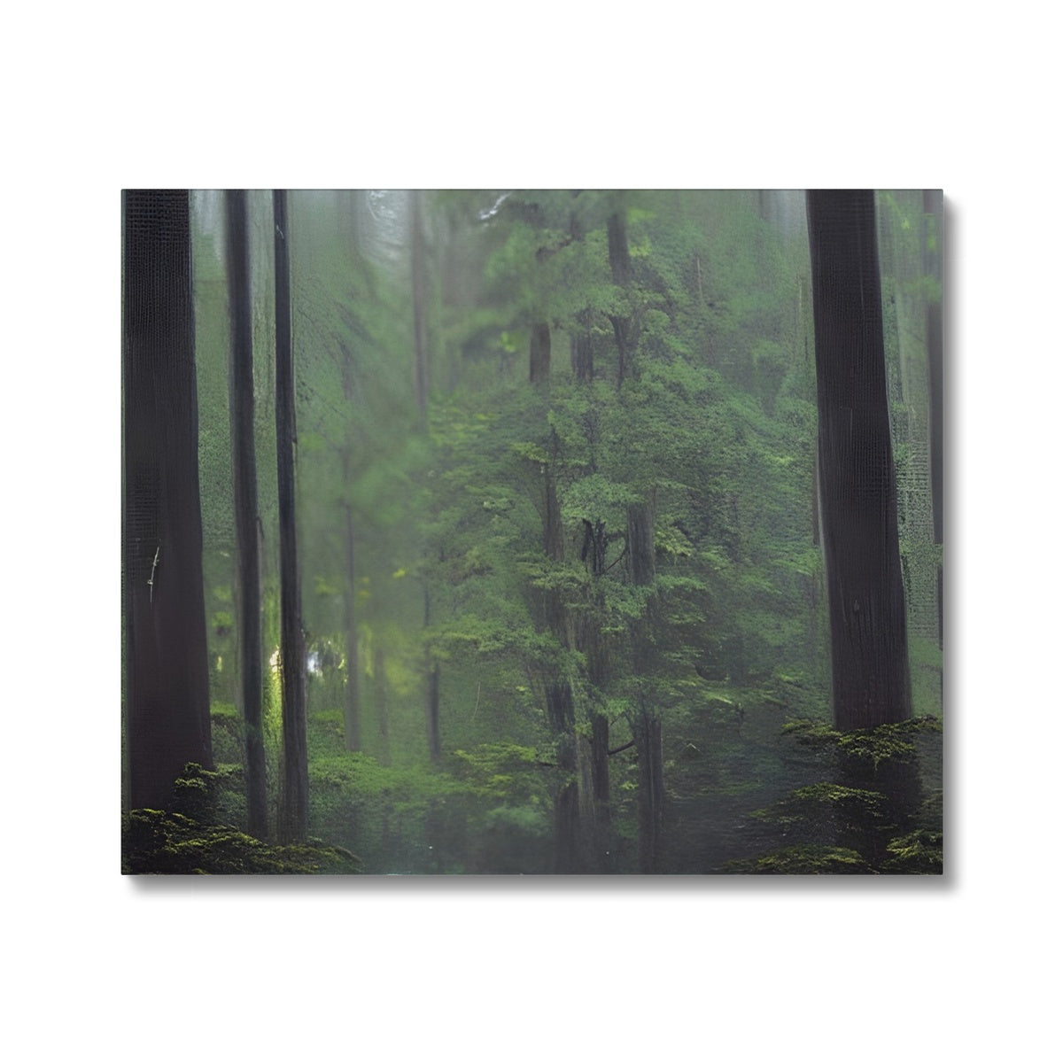 Rainy Forest Canvas Prodigi