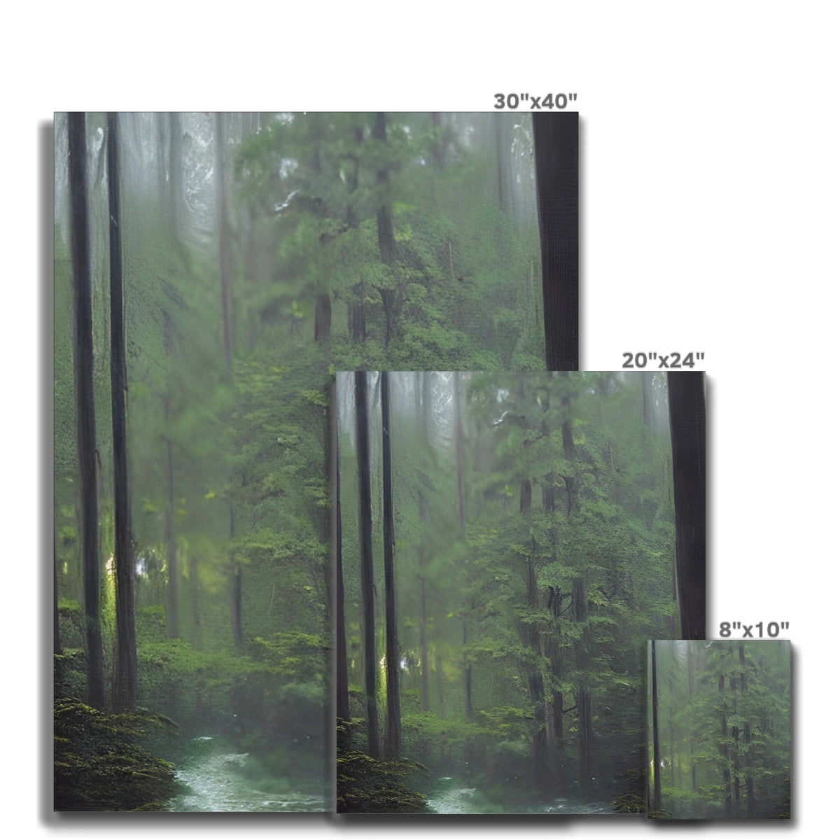 Rainy Forest Canvas Prodigi