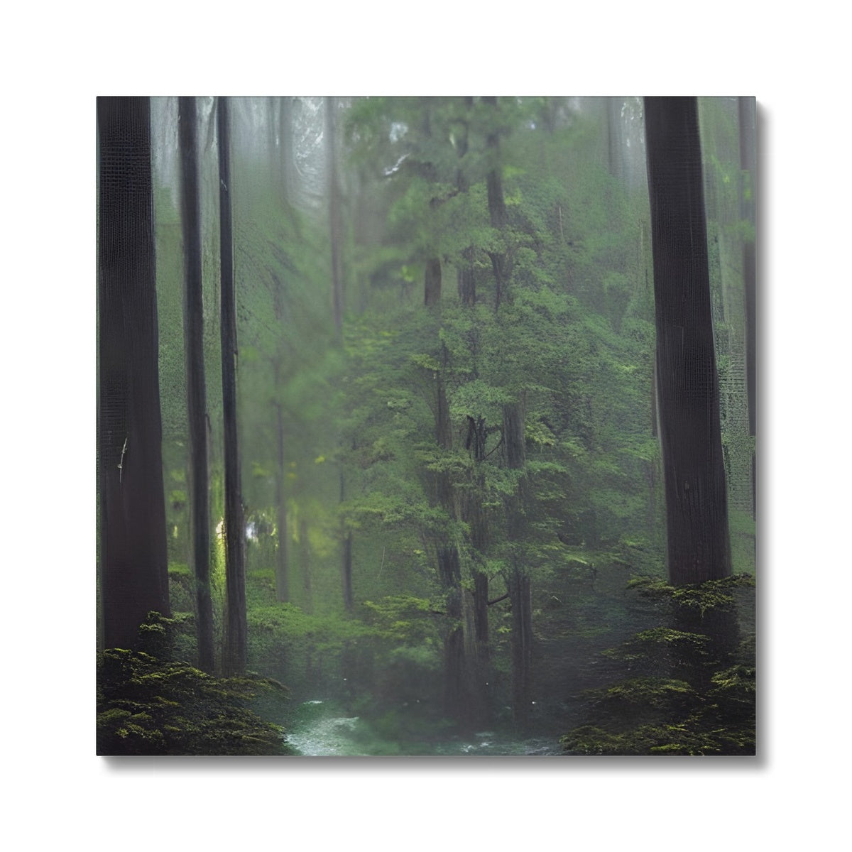 Rainy Forest Canvas Prodigi