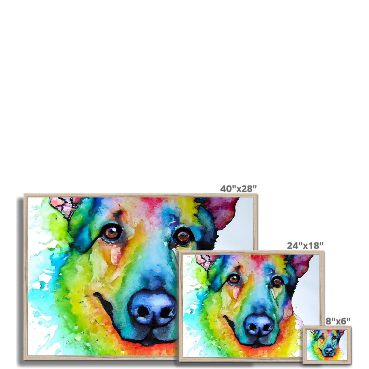 Rainbow Shepherd Dog  Framed Print Prodigi