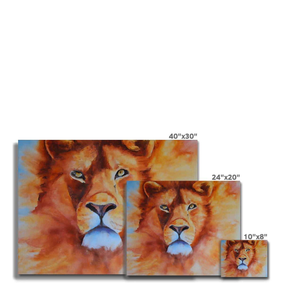 Majestic Lion Canvas Prodigi