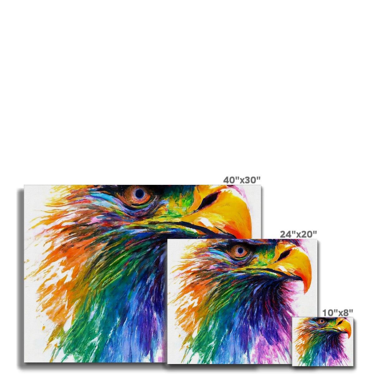 Rainbow Eagle Canvas Prodigi