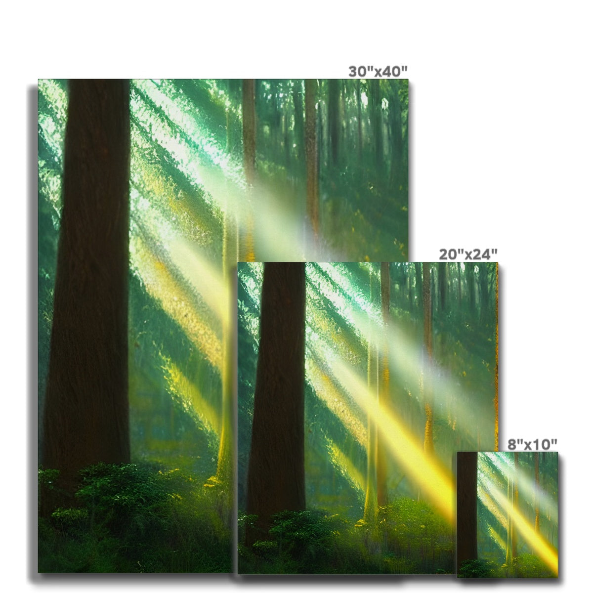 A Ray of Light in the Forest Canvas Prodigi