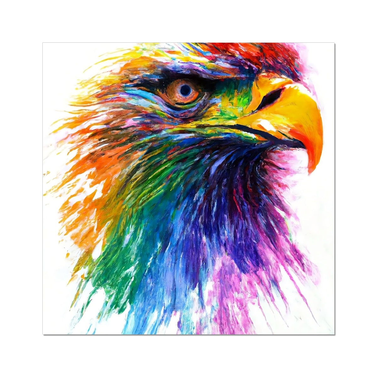 Rainbow Eagle Fine Art Print Prodigi