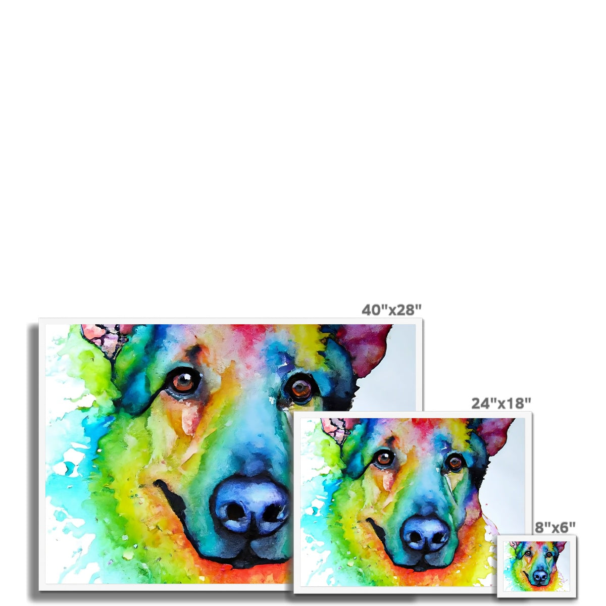 Rainbow Shepherd Dog  Framed Print Prodigi