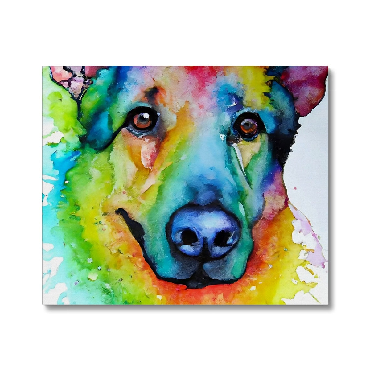 Rainbow Shepherd Dog  Canvas Prodigi