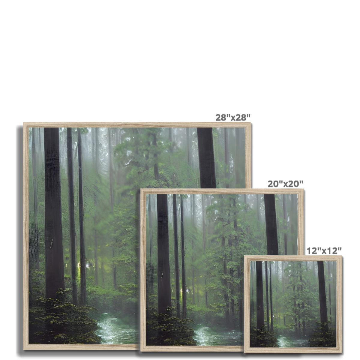 Rainy Forest Framed Print Prodigi