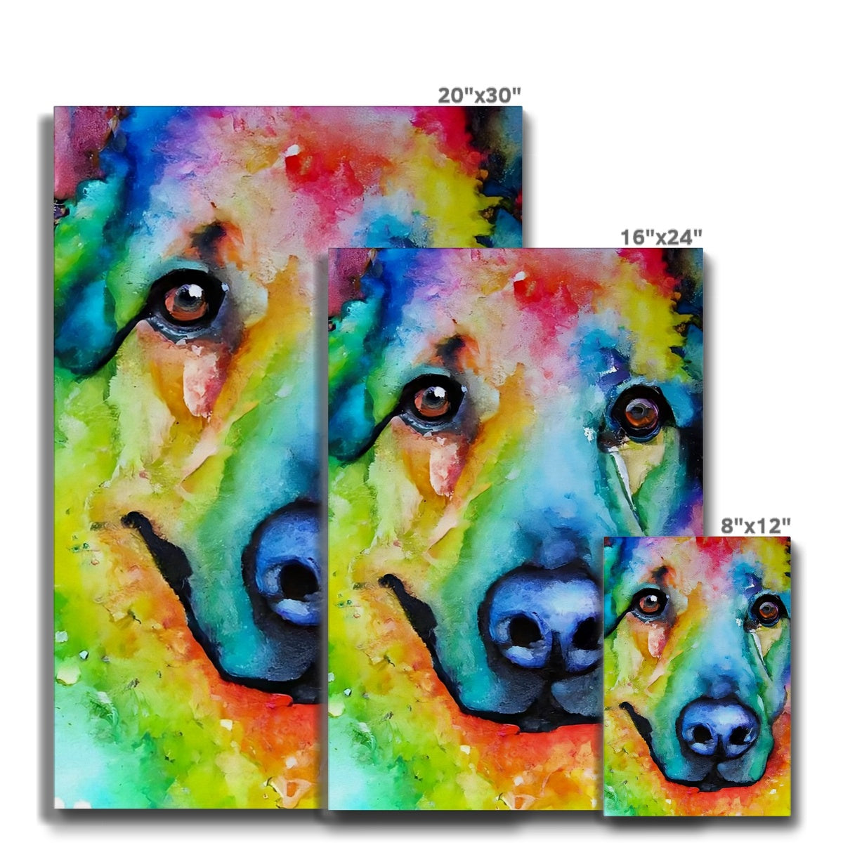 Rainbow Shepherd Dog  Eco Canvas Prodigi