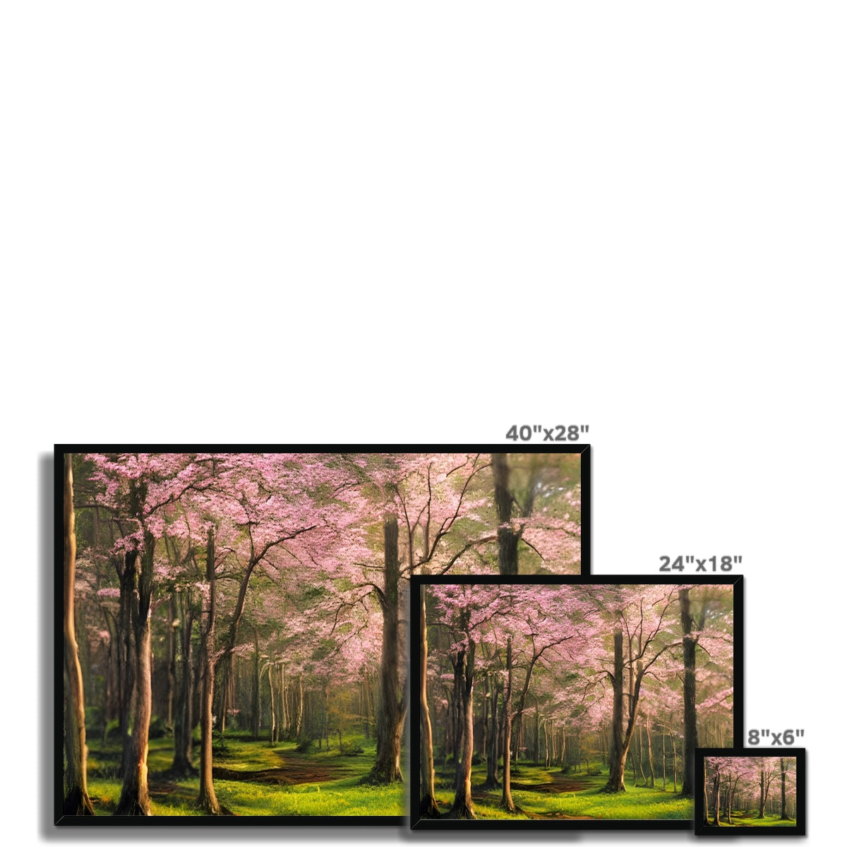 Cherry Blossom in a Forest Framed Print Prodigi