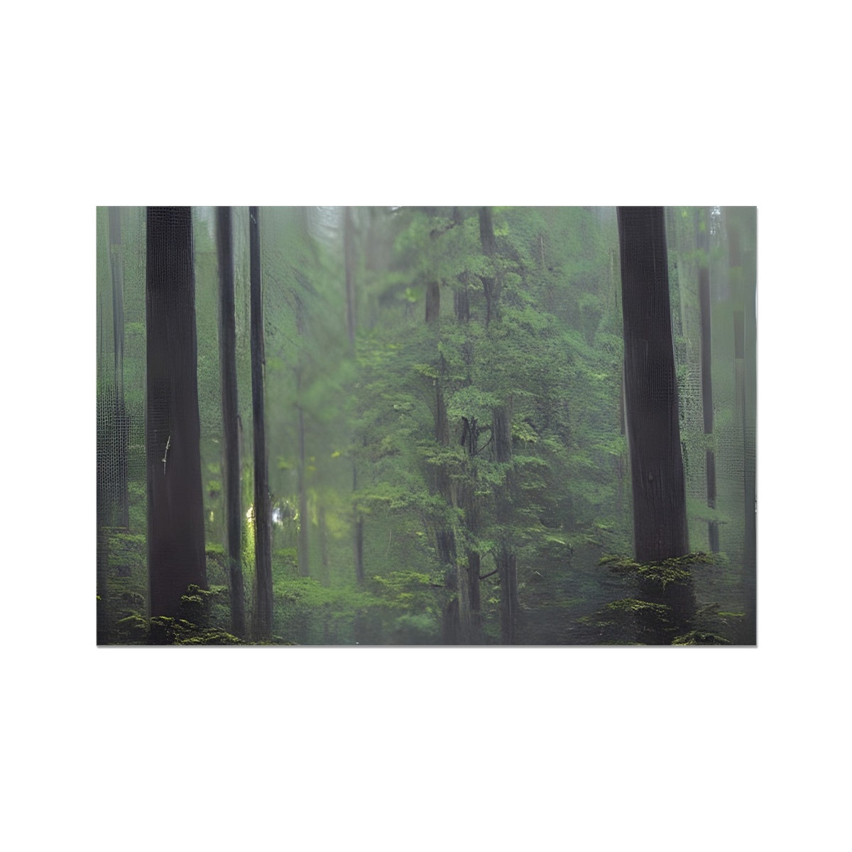 Rainy Forest Fine Art Print Prodigi