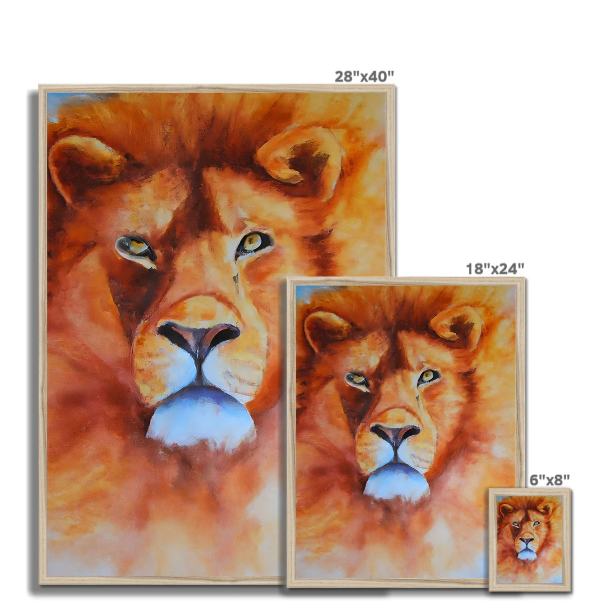 Majestic Lion Framed Print Prodigi