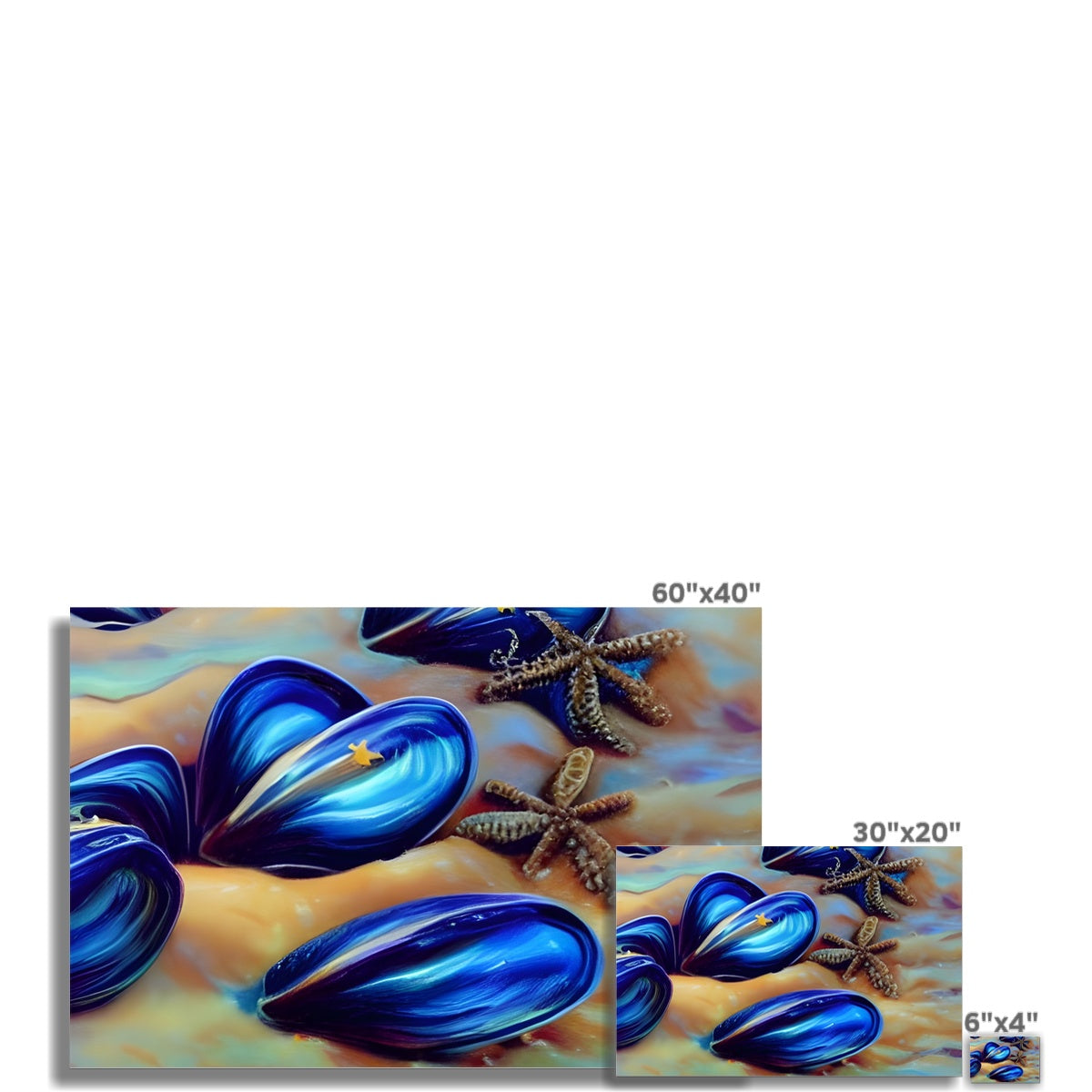 Beautiful Mussles At The Beach Fine Art Print Prodigi