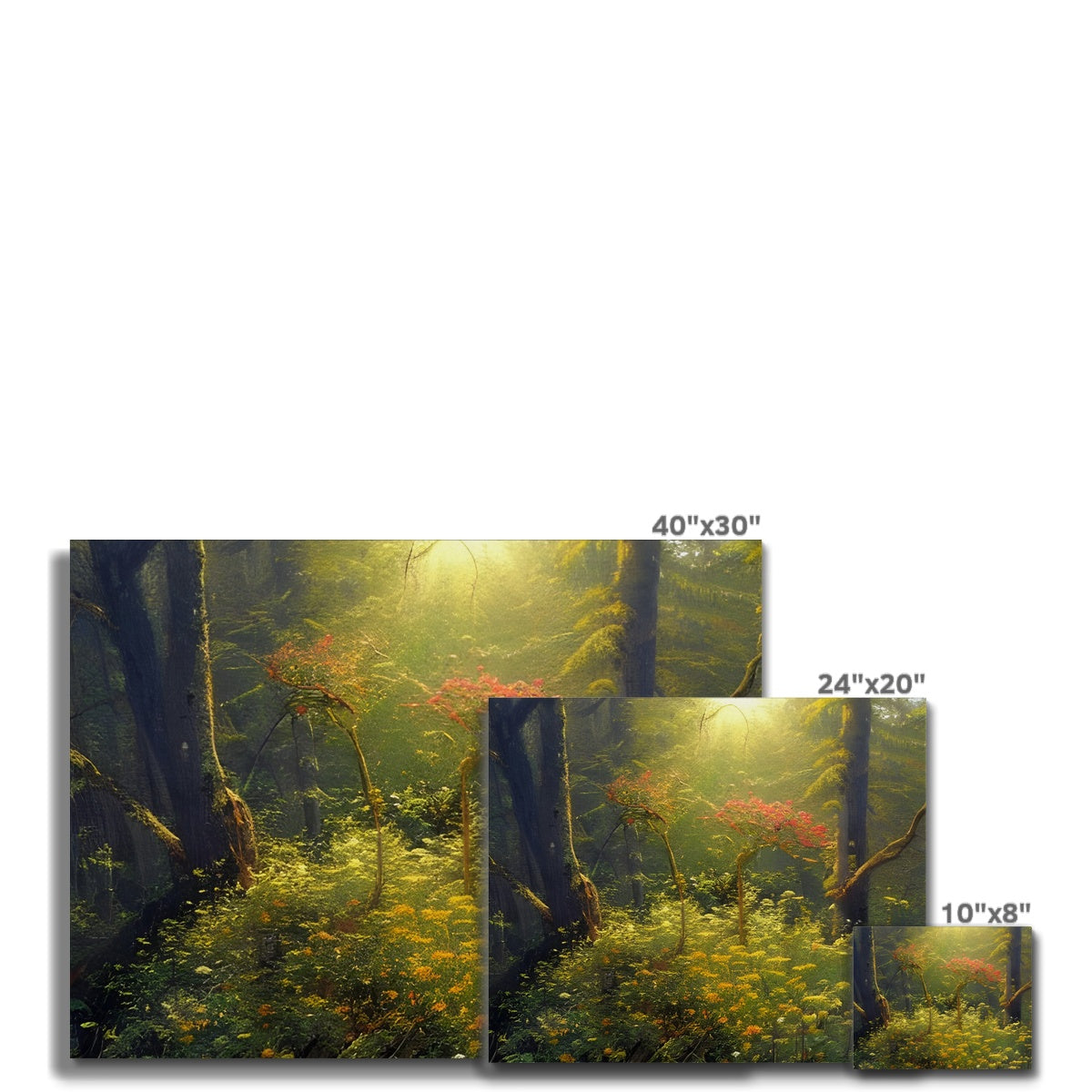 Flower of Hope in the Forest Canvas Prodigi