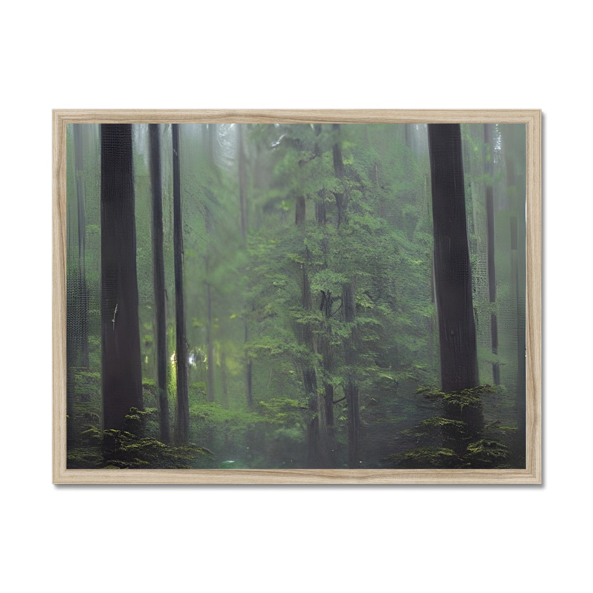 Rainy Forest Framed Print Prodigi