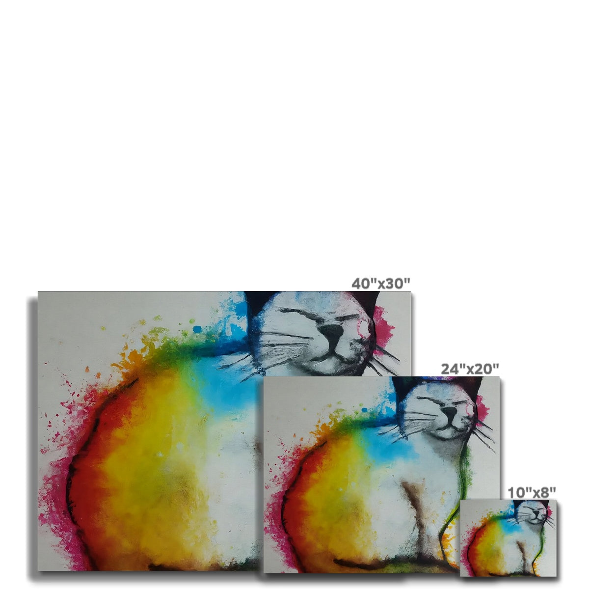 Rainbow Cat Canvas Prodigi