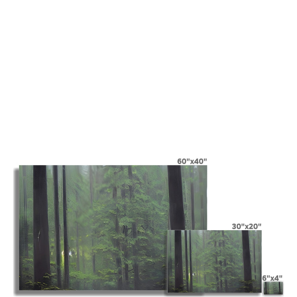 Rainy Forest Fine Art Print Prodigi