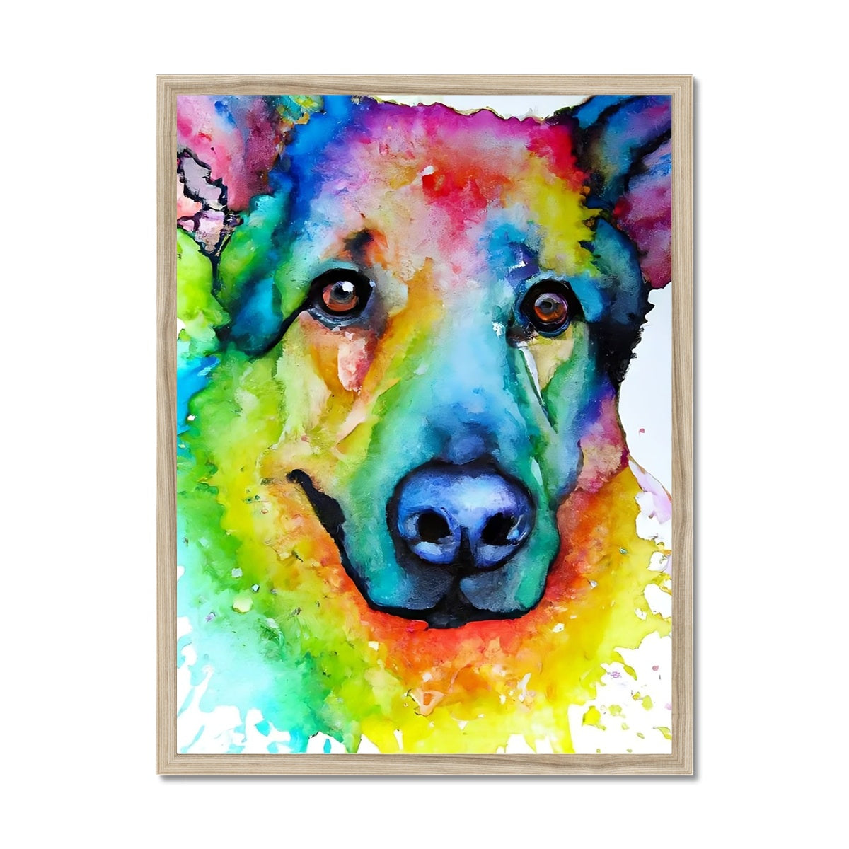 Rainbow Shepherd Dog  Framed Print Prodigi