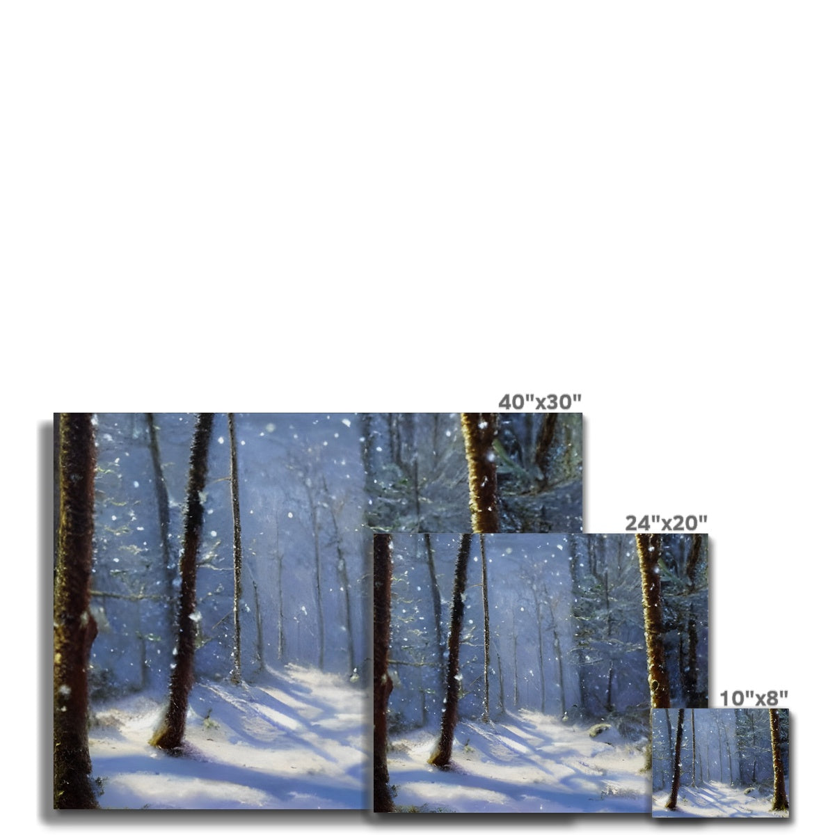 Snowy Forest Canvas Prodigi